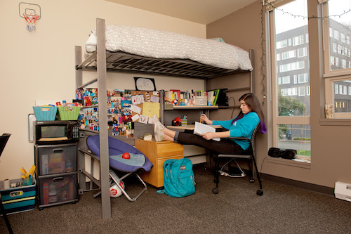 A student studying at her desk in her dorm room.