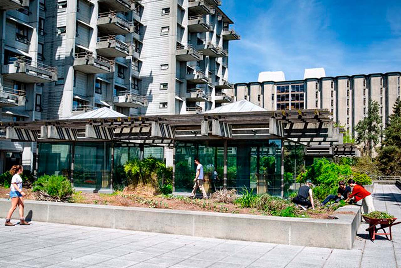 McMahon Hall and garden