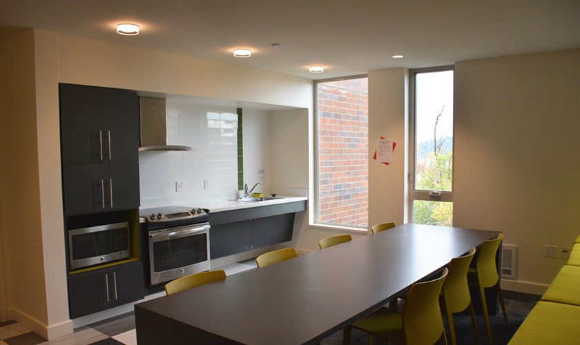 Terry Hall Lounge Kitchen